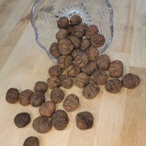 Whole Black Walnuts In Shell